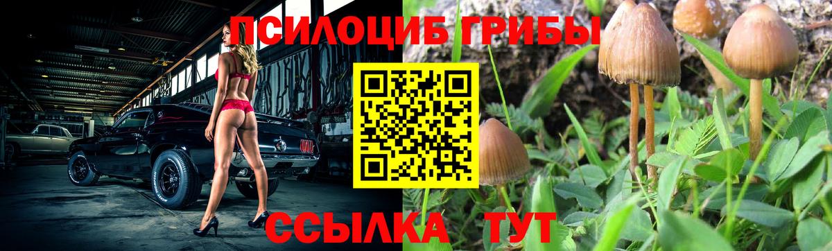 Красноуфимск  Галлюциногенные грибы ЛСД  Вход с VPN 